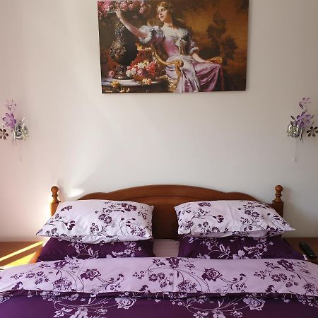 Apartmán Sophie Apartament Sinaia Exteriér fotografie