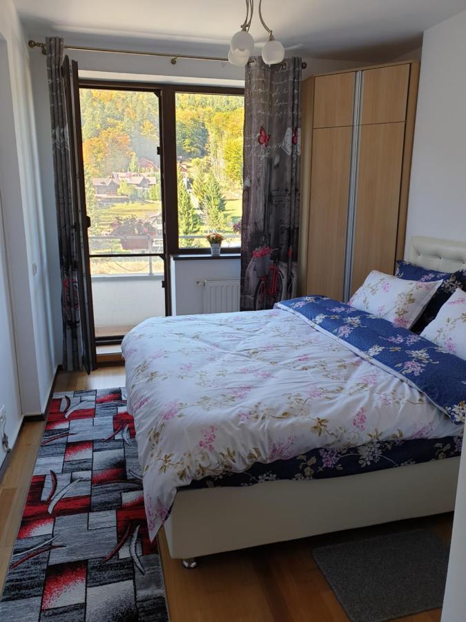 Apartmán Sophie Apartament Sinaia Exteriér fotografie
