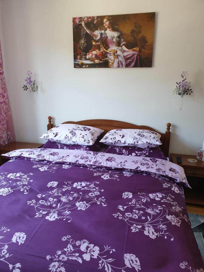 Apartmán Sophie Apartament Sinaia Exteriér fotografie