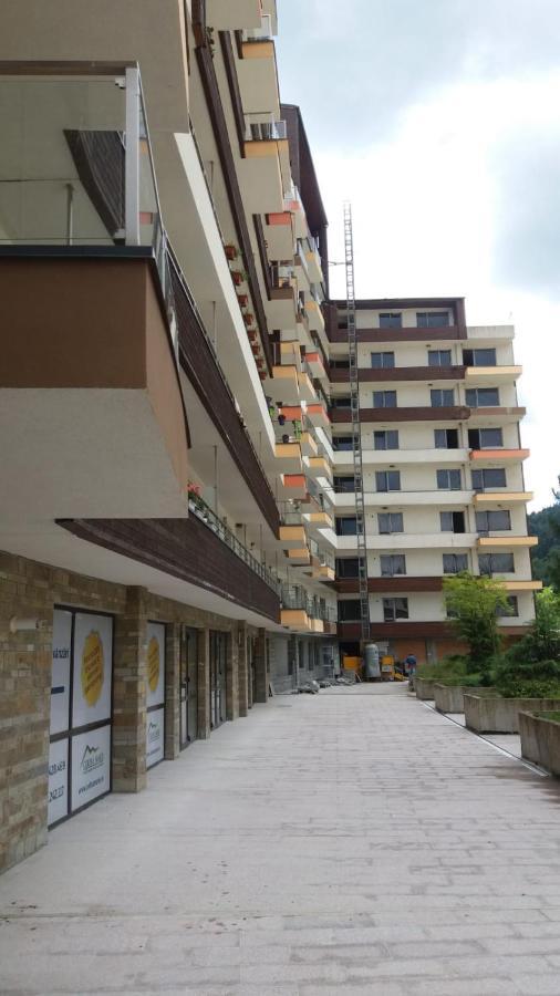 Apartmán Sophie Apartament Sinaia Exteriér fotografie