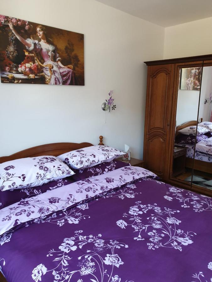 Apartmán Sophie Apartament Sinaia Exteriér fotografie
