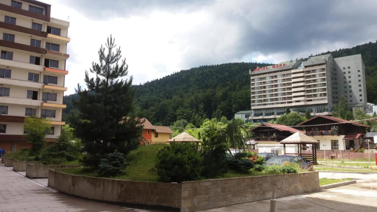 Apartmán Sophie Apartament Sinaia Exteriér fotografie