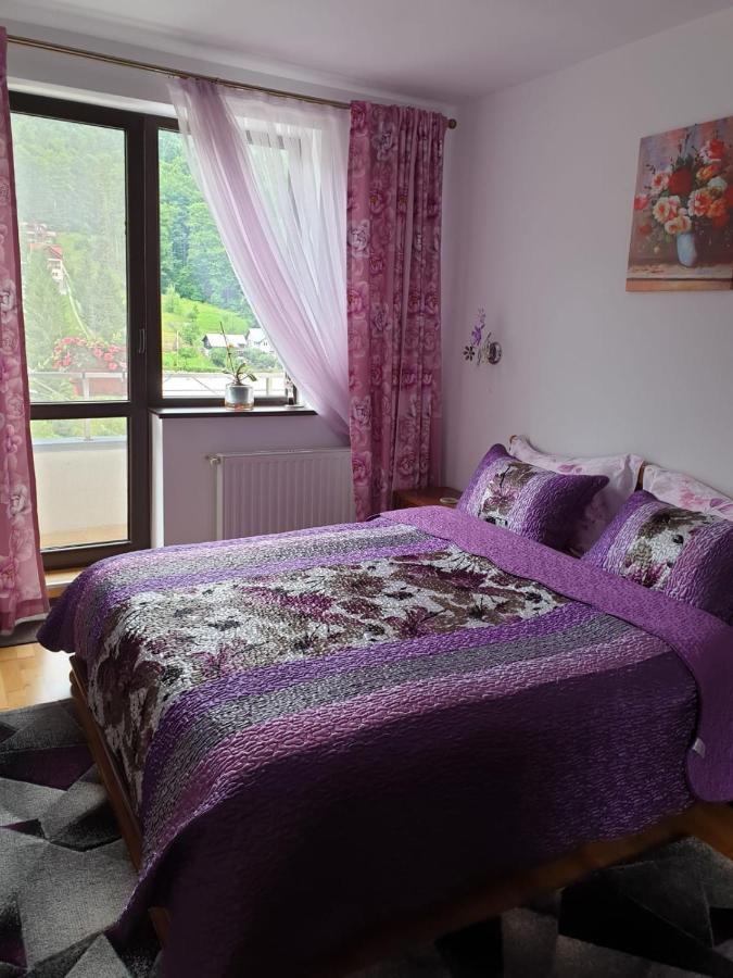 Apartmán Sophie Apartament Sinaia Exteriér fotografie