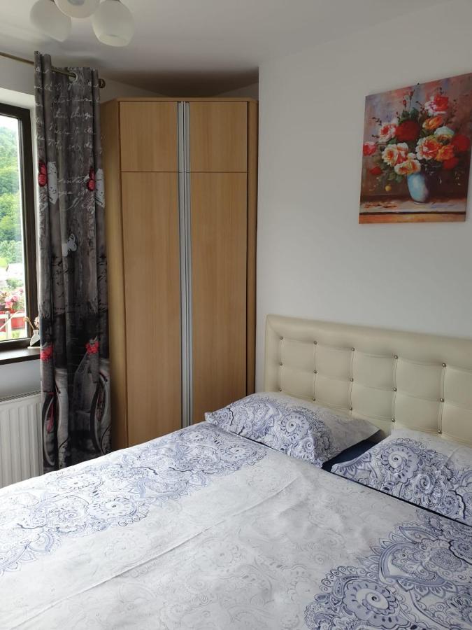 Apartmán Sophie Apartament Sinaia Exteriér fotografie
