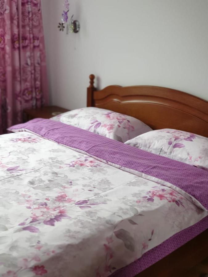 Apartmán Sophie Apartament Sinaia Exteriér fotografie