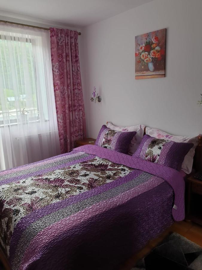 Apartmán Sophie Apartament Sinaia Exteriér fotografie