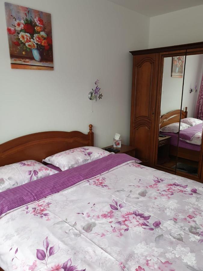 Apartmán Sophie Apartament Sinaia Exteriér fotografie
