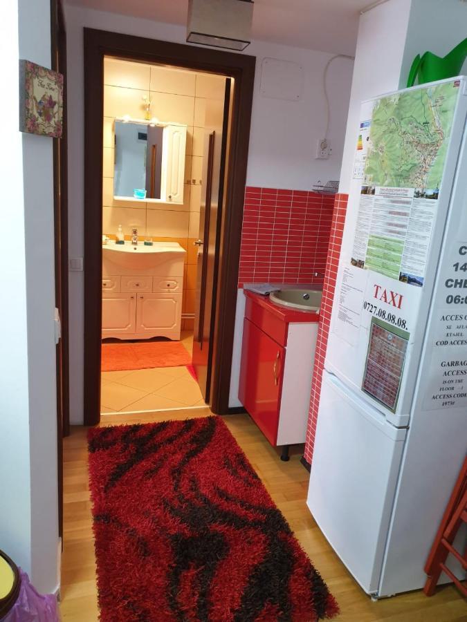 Apartmán Sophie Apartament Sinaia Exteriér fotografie