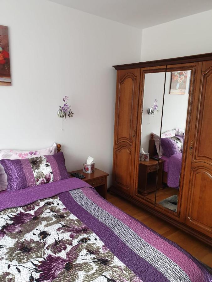 Apartmán Sophie Apartament Sinaia Exteriér fotografie