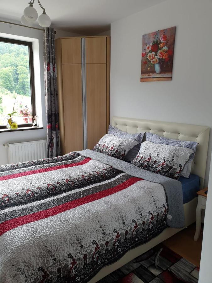 Apartmán Sophie Apartament Sinaia Exteriér fotografie
