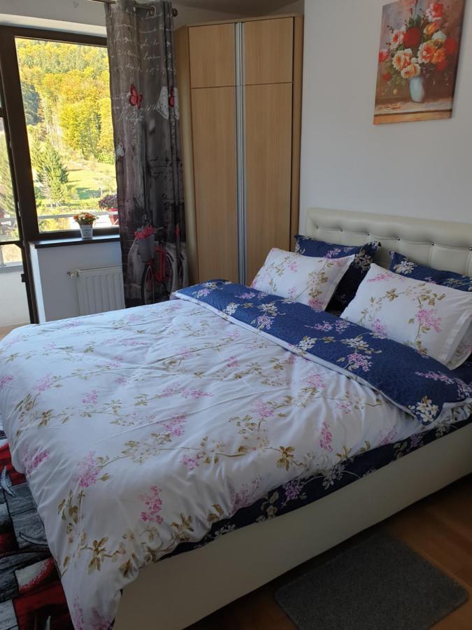 Apartmán Sophie Apartament Sinaia Exteriér fotografie