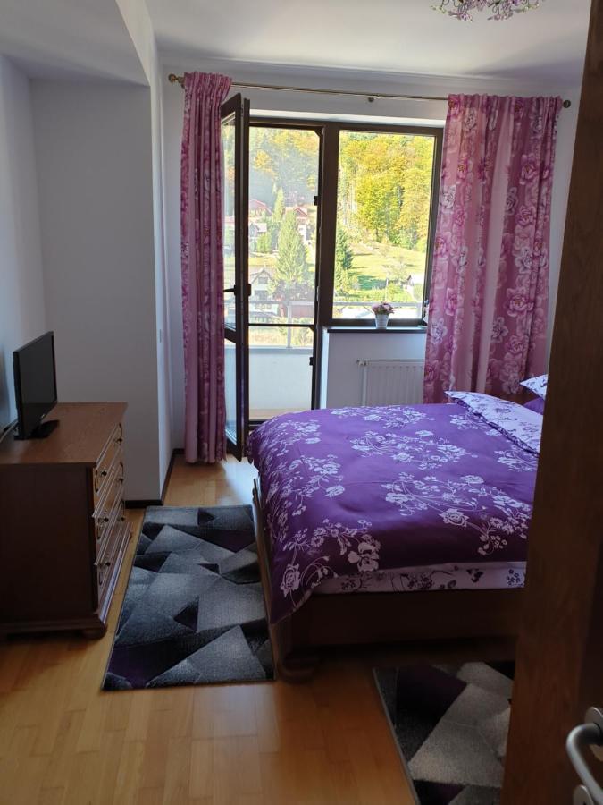 Apartmán Sophie Apartament Sinaia Exteriér fotografie