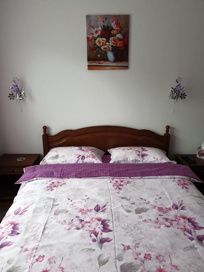 Apartmán Sophie Apartament Sinaia Exteriér fotografie