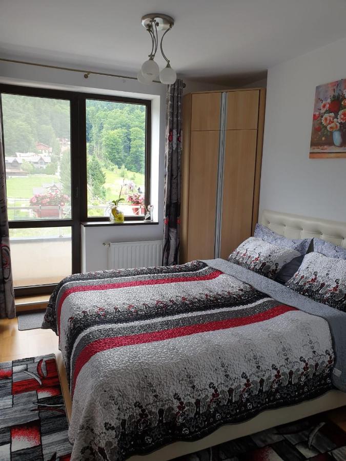 Apartmán Sophie Apartament Sinaia Exteriér fotografie