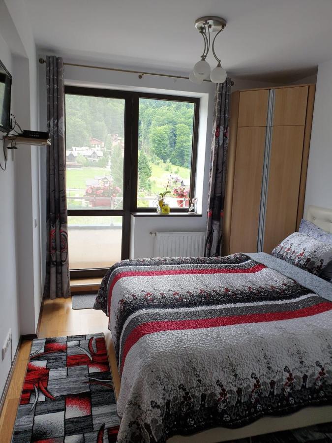 Apartmán Sophie Apartament Sinaia Exteriér fotografie