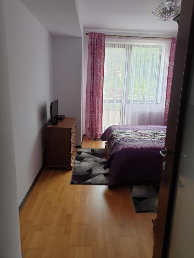 Apartmán Sophie Apartament Sinaia Exteriér fotografie