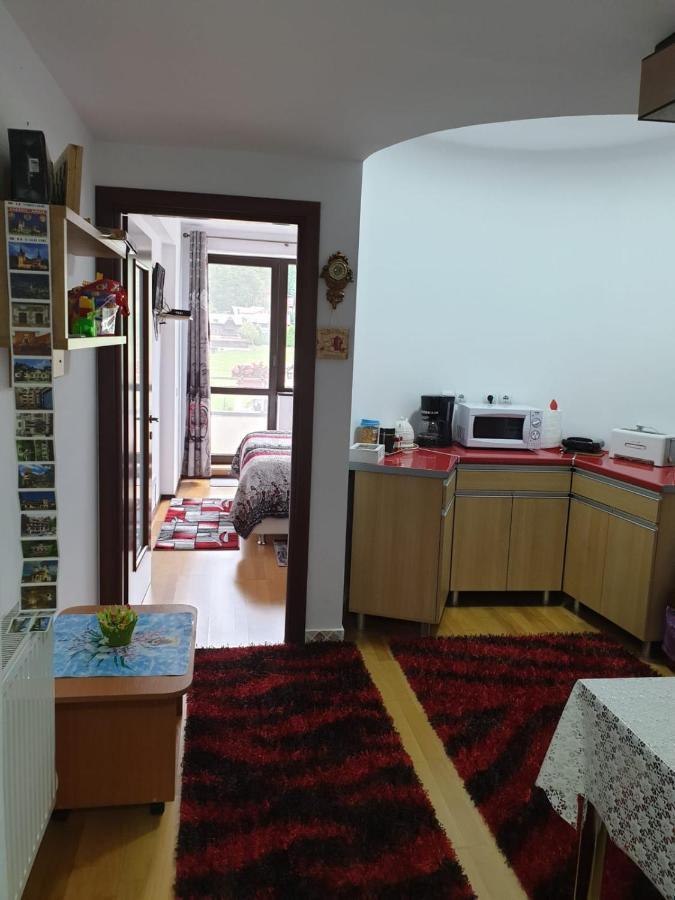 Apartmán Sophie Apartament Sinaia Exteriér fotografie