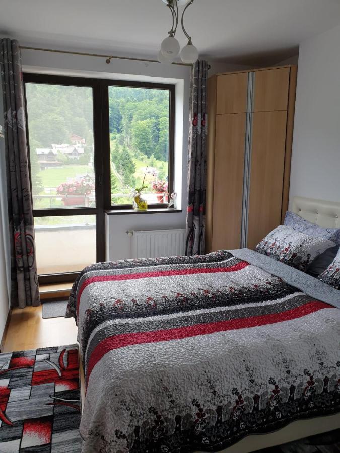 Apartmán Sophie Apartament Sinaia Exteriér fotografie