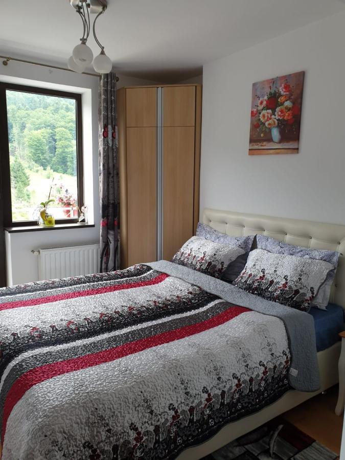 Apartmán Sophie Apartament Sinaia Exteriér fotografie