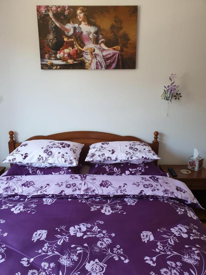 Apartmán Sophie Apartament Sinaia Exteriér fotografie