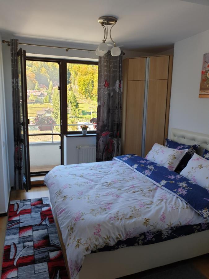 Apartmán Sophie Apartament Sinaia Exteriér fotografie