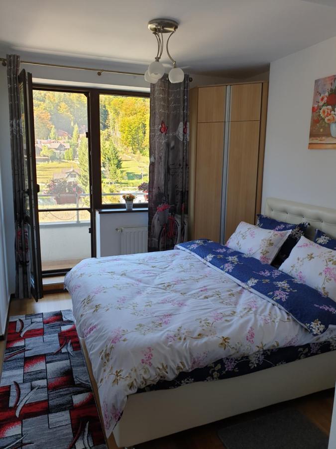 Apartmán Sophie Apartament Sinaia Exteriér fotografie