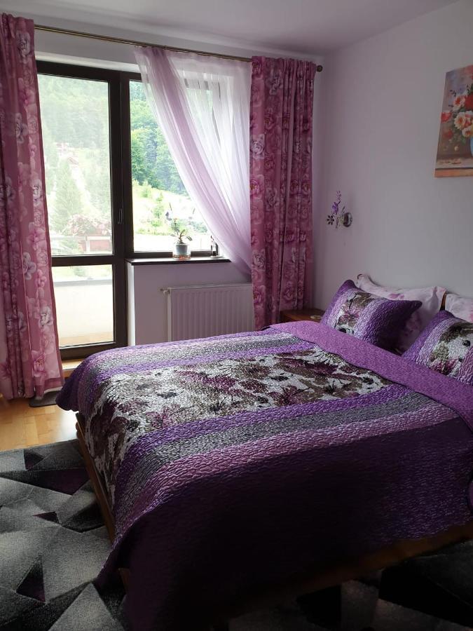 Apartmán Sophie Apartament Sinaia Exteriér fotografie